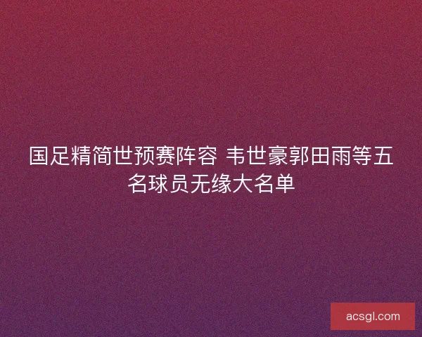 国足精简世预赛阵容 韦世豪郭田雨等五名球员无缘大名单 国足精简世预赛阵容 韦世豪郭田雨等五名球员无缘大名单