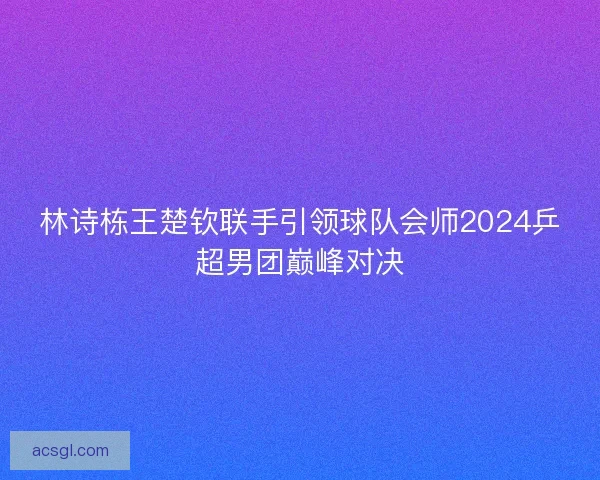 林诗栋王楚钦联手引领球队会师2024乒超男团巅峰对决